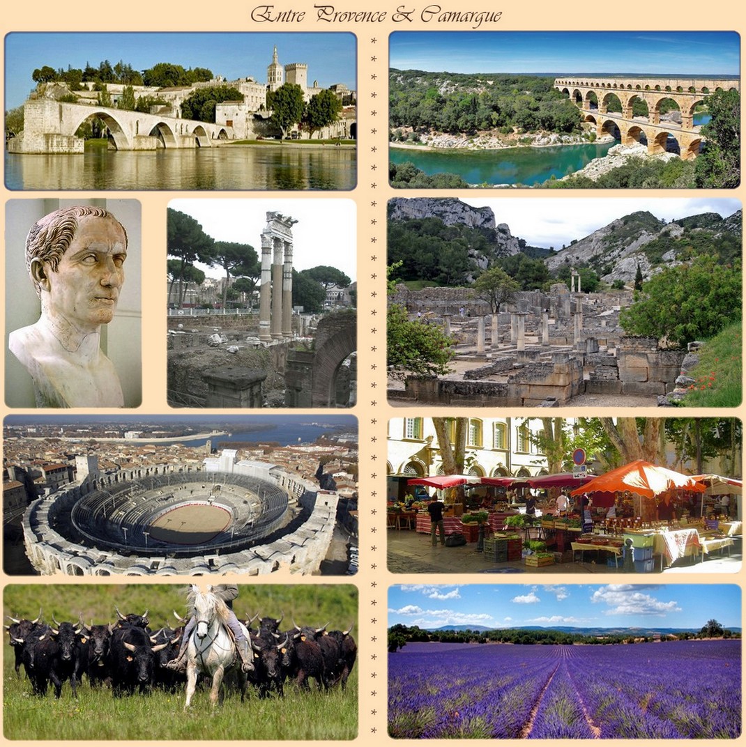 Carte postale de la Provence 